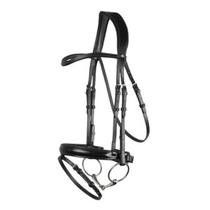 SADDLE N GRACE Horse Bridle