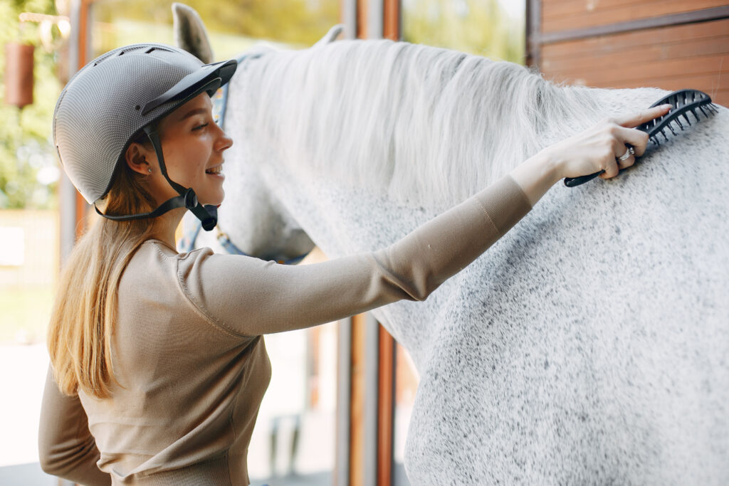 groom horse