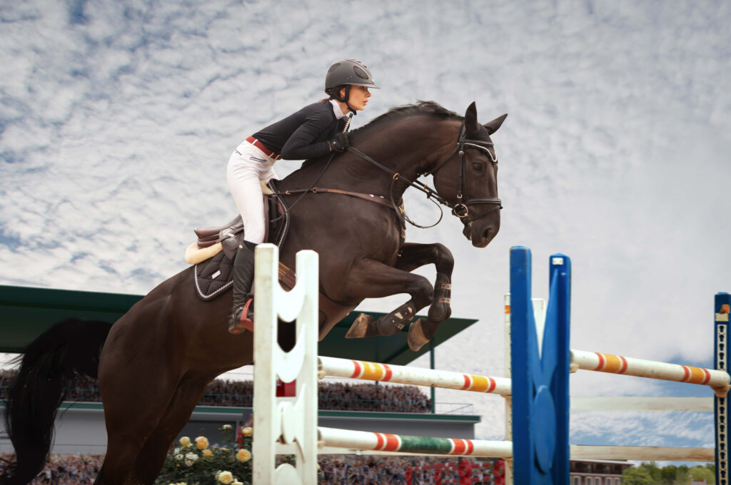 Understanding horse behavior