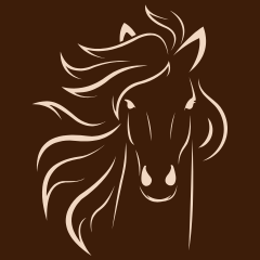 Saddle N Grace